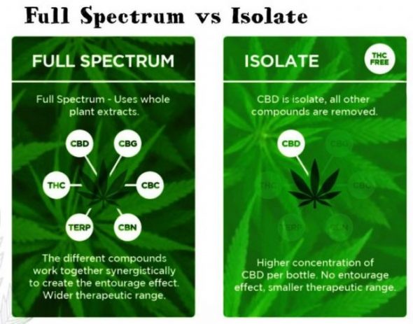 Full Spectrum, Broad Spectrum, and Isolate CBD: What's the